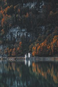 Preview wallpaper trees, mountain, lake, shore