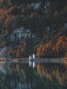 Preview wallpaper trees, mountain, lake, shore