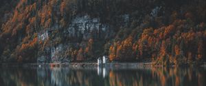 Preview wallpaper trees, mountain, lake, shore