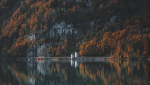 Preview wallpaper trees, mountain, lake, shore