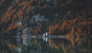 Preview wallpaper trees, mountain, lake, shore