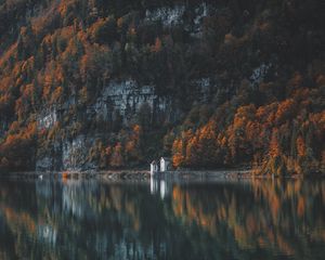 Preview wallpaper trees, mountain, lake, shore
