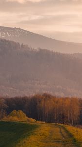 Preview wallpaper trees, mountain, landscape, trail