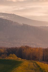 Preview wallpaper trees, mountain, landscape, trail