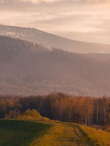 Preview wallpaper trees, mountain, landscape, trail