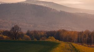 Preview wallpaper trees, mountain, landscape, trail