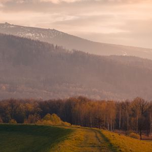 Preview wallpaper trees, mountain, landscape, trail