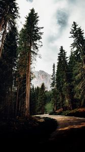 Preview wallpaper trees, mountain, peak, road, nature