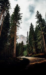 Preview wallpaper trees, mountain, peak, road, nature