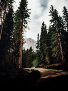 Preview wallpaper trees, mountain, peak, road, nature