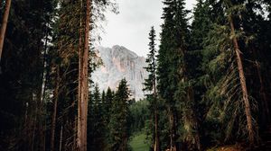 Preview wallpaper trees, mountain, peak, road, nature