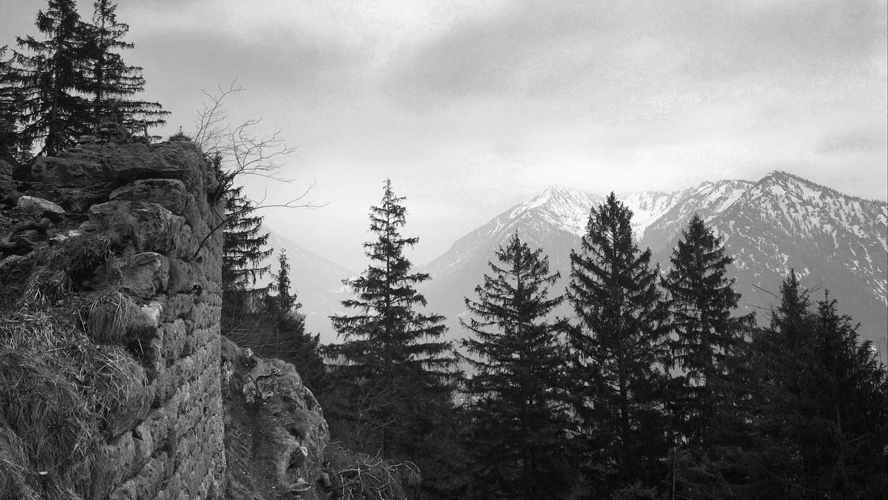 Wallpaper trees, mountain, sky, clouds, black and white