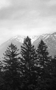 Preview wallpaper trees, mountain, sky, clouds, black and white