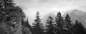 Preview wallpaper trees, mountain, sky, clouds, black and white