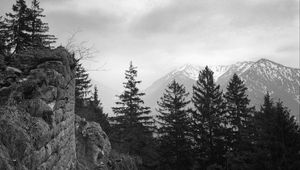 Preview wallpaper trees, mountain, sky, clouds, black and white