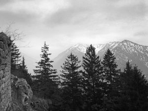 Preview wallpaper trees, mountain, sky, clouds, black and white