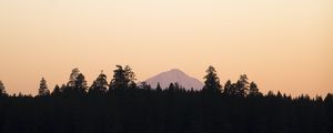 Preview wallpaper trees, mountain, sky, sunrise