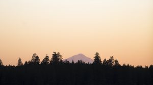 Preview wallpaper trees, mountain, sky, sunrise