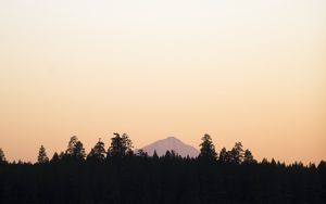 Preview wallpaper trees, mountain, sky, sunrise