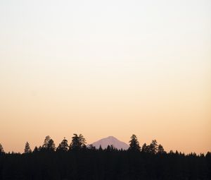 Preview wallpaper trees, mountain, sky, sunrise