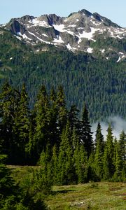 Preview wallpaper trees, mountain, slope, landscape, nature