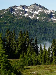 Preview wallpaper trees, mountain, slope, landscape, nature