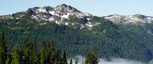 Preview wallpaper trees, mountain, slope, landscape, nature