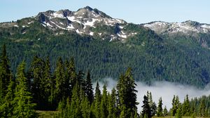 Preview wallpaper trees, mountain, slope, landscape, nature