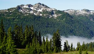 Preview wallpaper trees, mountain, slope, landscape, nature