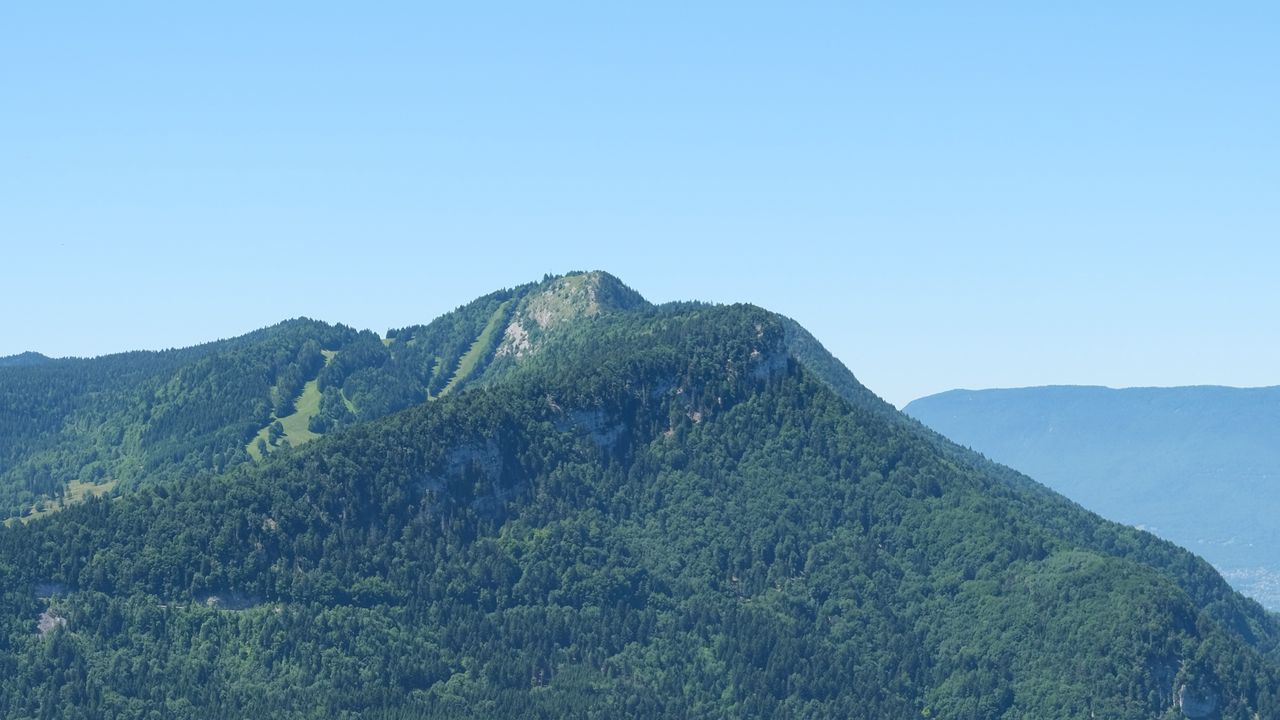 Wallpaper trees, mountain, slope, forest