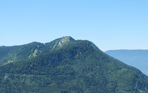 Preview wallpaper trees, mountain, slope, forest