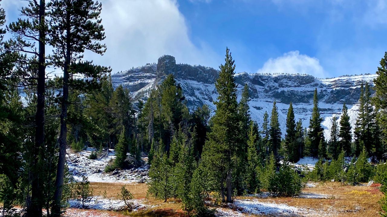 Wallpaper trees, mountain, snow, landscape, nature