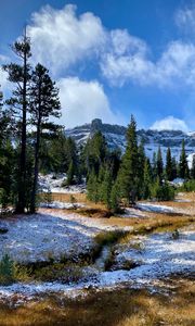 Preview wallpaper trees, mountain, snow, landscape, nature