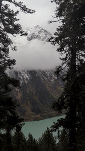 Preview wallpaper trees, mountain, snow, lake, path