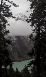 Preview wallpaper trees, mountain, snow, lake, path