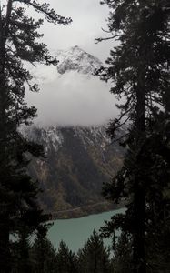 Preview wallpaper trees, mountain, snow, lake, path