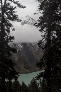 Preview wallpaper trees, mountain, snow, lake, path