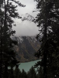 Preview wallpaper trees, mountain, snow, lake, path