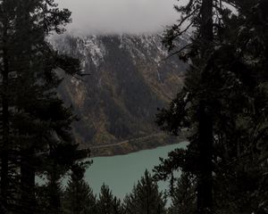 Preview wallpaper trees, mountain, snow, lake, path