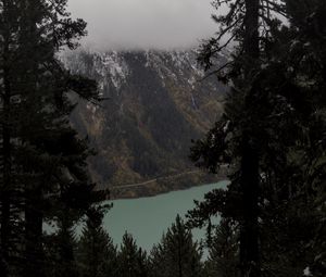 Preview wallpaper trees, mountain, snow, lake, path