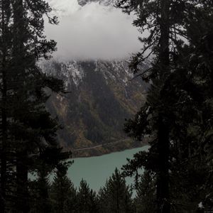 Preview wallpaper trees, mountain, snow, lake, path