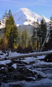 Preview wallpaper trees, mountain, snow, logs, stream