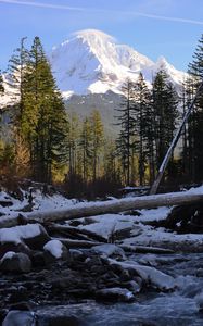 Preview wallpaper trees, mountain, snow, logs, stream
