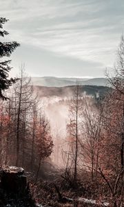 Preview wallpaper trees, mountains, autumn, fog, aerial view, overview