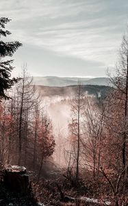 Preview wallpaper trees, mountains, autumn, fog, aerial view, overview