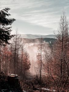 Preview wallpaper trees, mountains, autumn, fog, aerial view, overview