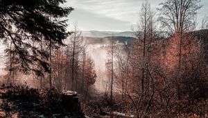 Preview wallpaper trees, mountains, autumn, fog, aerial view, overview