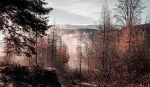 Preview wallpaper trees, mountains, autumn, fog, aerial view, overview