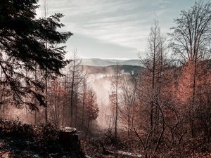 Preview wallpaper trees, mountains, autumn, fog, aerial view, overview