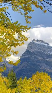 Preview wallpaper trees, mountains, autumn, leaves, branches, distance